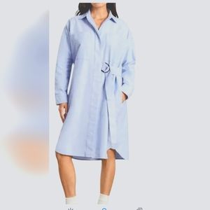 Everlane blue shirt dress